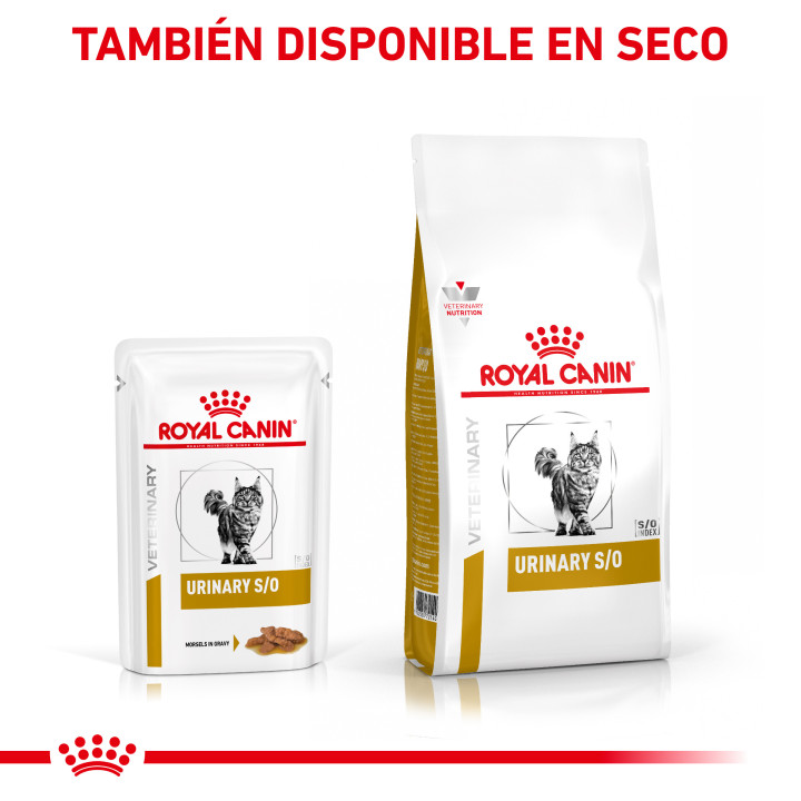 Royal Canin Feline Urinary S/O comida húmeda para gatos - Kompymascotas