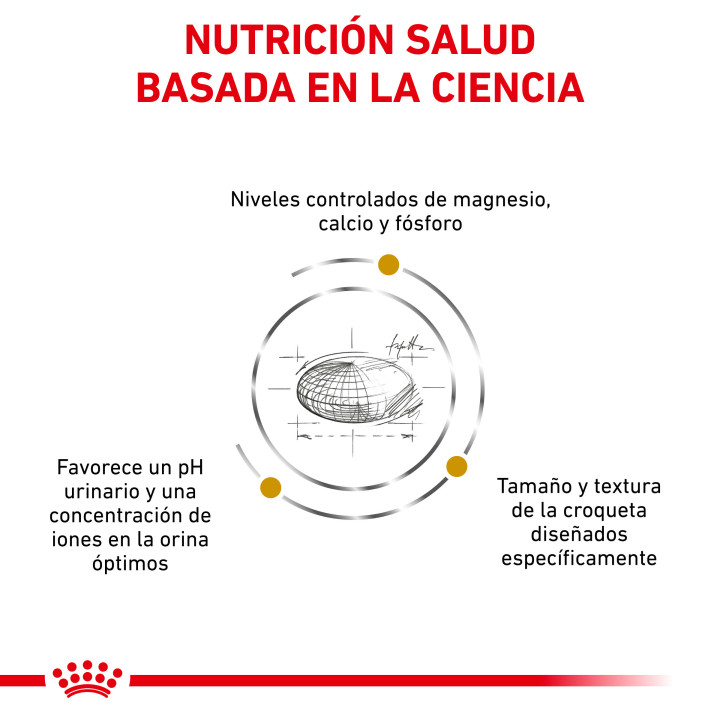 Pienso Royal Canin Urinary S/O Small Dog - Kompymascotas