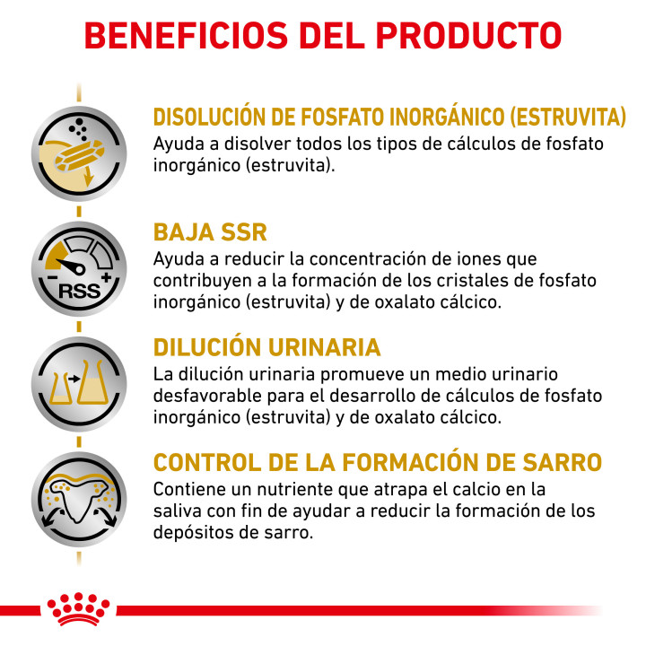 Pienso Royal Canin Urinary S/O Small Dog - Kompymascotas