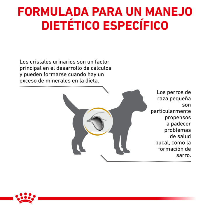 Pienso Royal Canin Urinary S/O Small Dog - Kompymascotas