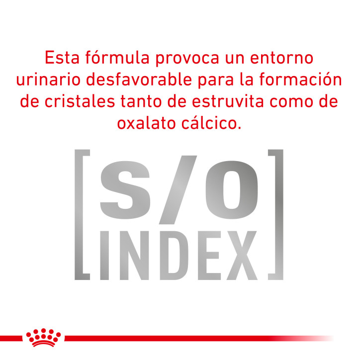 Pienso Royal Canin Urinary S/O Small Dog - Kompymascotas