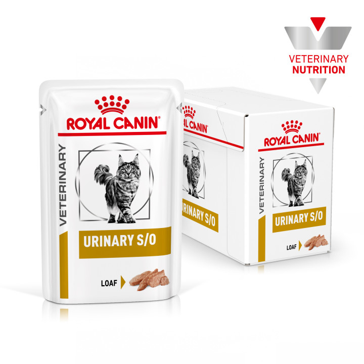 Royal Canin Urinary S/O Feline comida húmeda para gatos - Kompymascotas