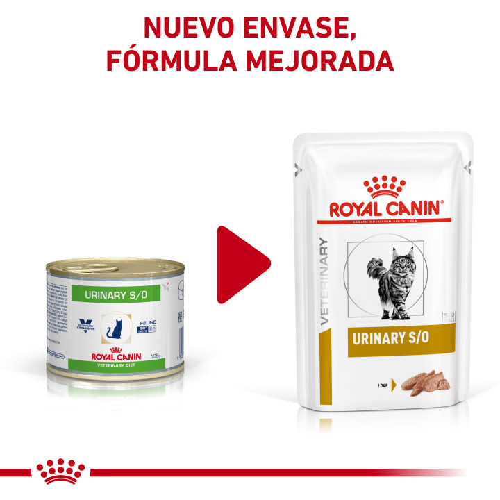 Royal Canin Urinary S/O Feline comida húmeda para gatos - Kompymascotas