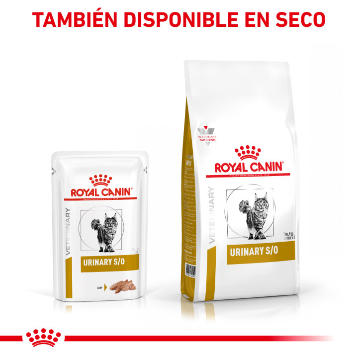 Royal Canin Urinary S/O Feline comida húmeda para gatos - Kompymascotas