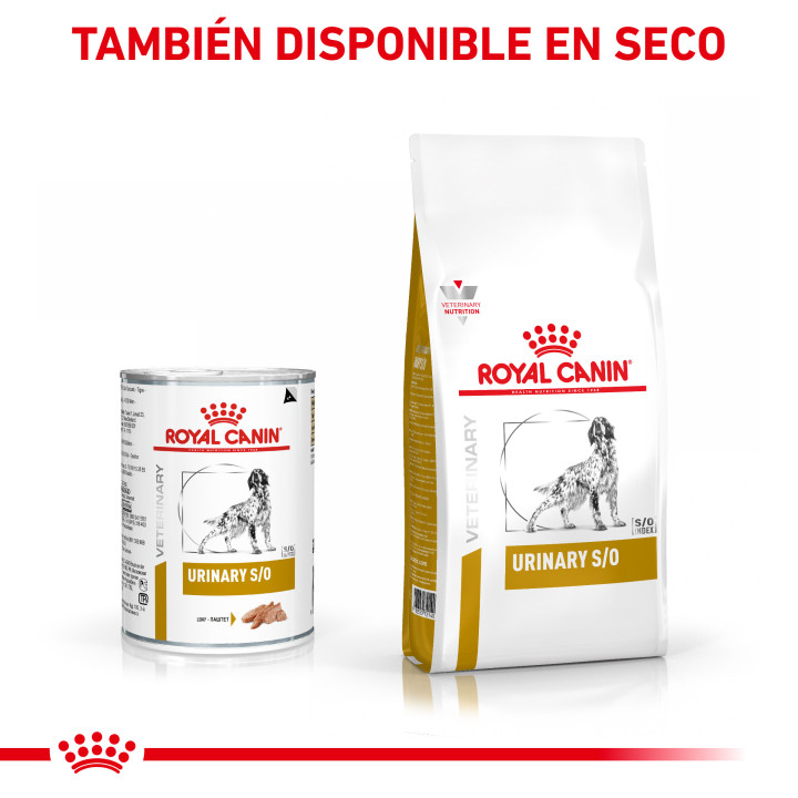 Comida húmeda para perros de Royal Canin Urinary S/O - Kompymascotas