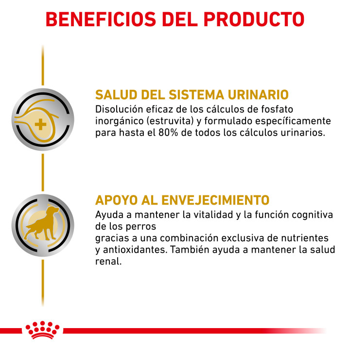 Royal Canin Urinary S/O Ageing 7+ - Kompymascotas