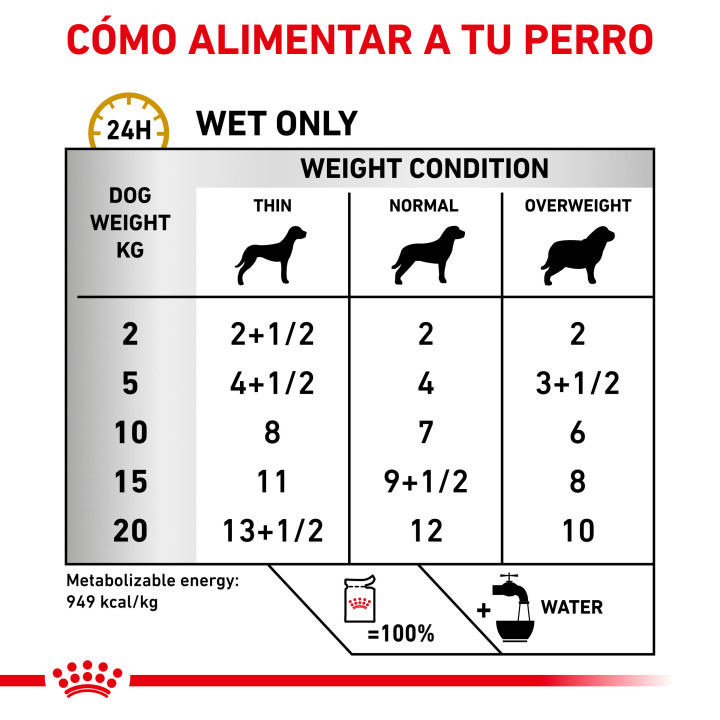 Royal Canin Urinary S/O Ageing 7+ - Kompymascotas