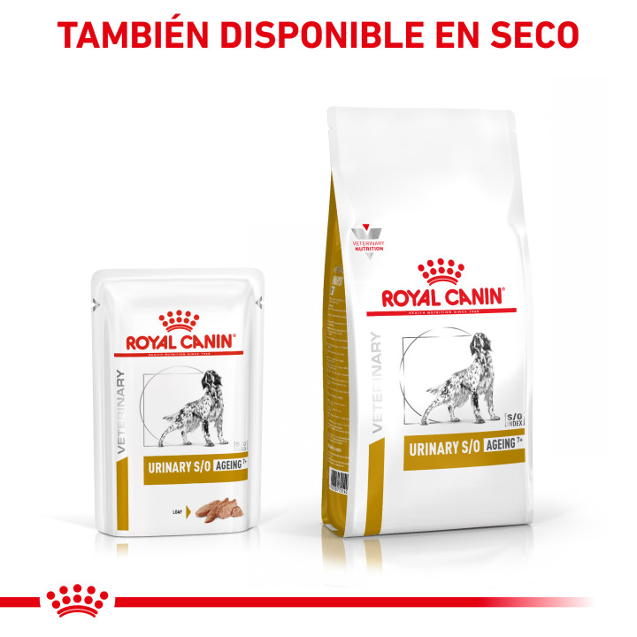 Royal Canin Urinary S/O Ageing 7+ - Kompymascotas