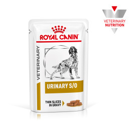 Royal Canin Urinary S/O - Kompymascotas