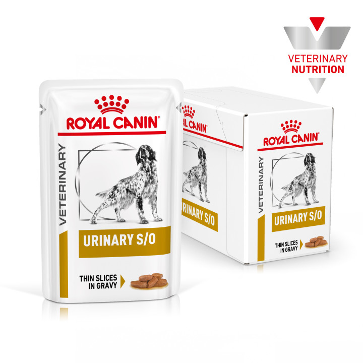 Royal Canin Urinary S/O - Kompymascotas
