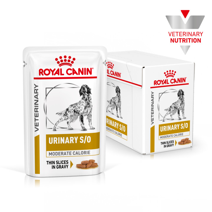 Royal Canin Urinary S/O Moderate Calorie - Kompymascotas