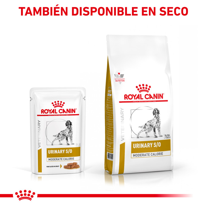 Royal Canin Urinary S/O Moderate Calorie - Kompymascotas