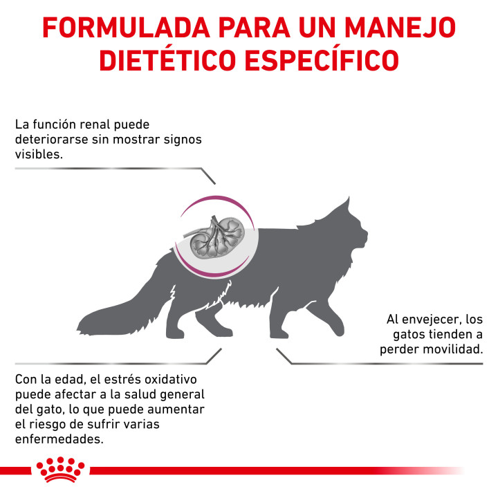 Royal Canin Early Renal