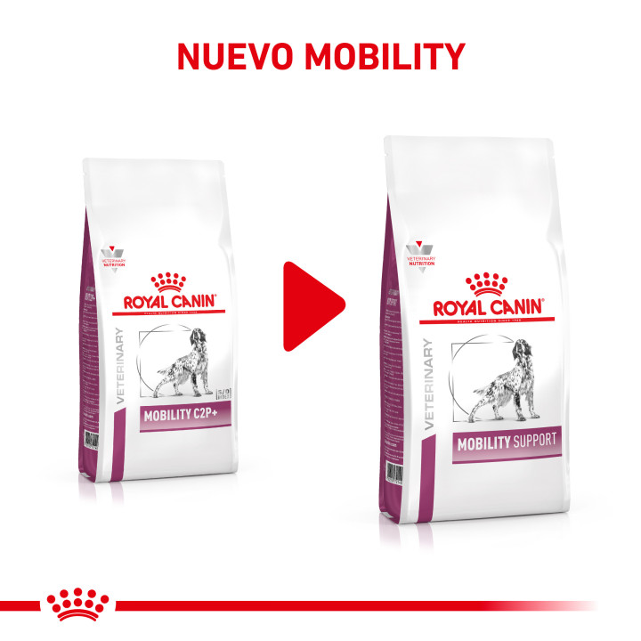Royal Canin Mobility C2P+ Pienso para perros - Kompymascotas
