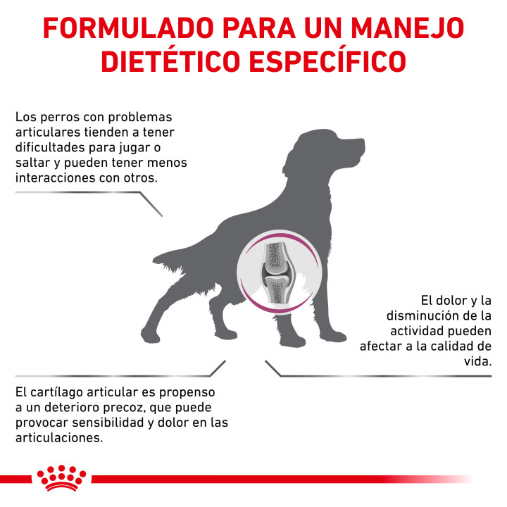 Royal Canin Mobility C2P+ Pienso para perros - Kompymascotas
