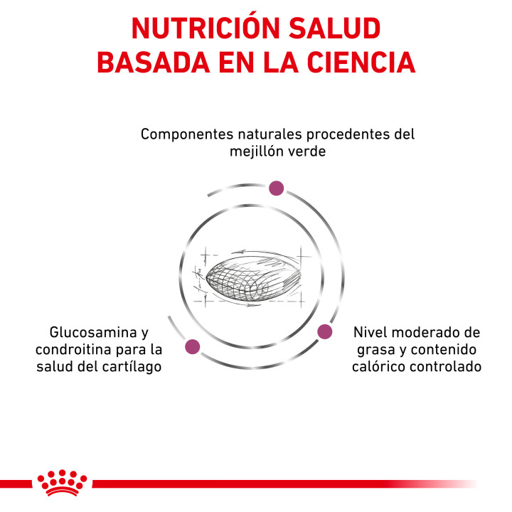 Royal Canin Mobility C2P+ Pienso para perros - Kompymascotas