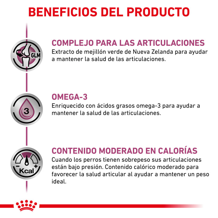 Royal Canin Mobility C2P+ Pienso para perros - Kompymascotas