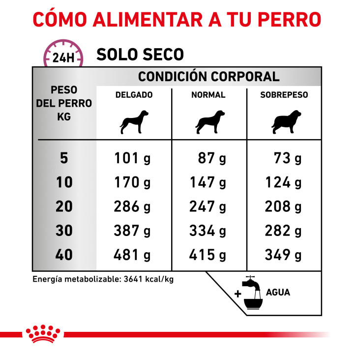Royal Canin Mobility C2P+ Pienso para perros - Kompymascotas