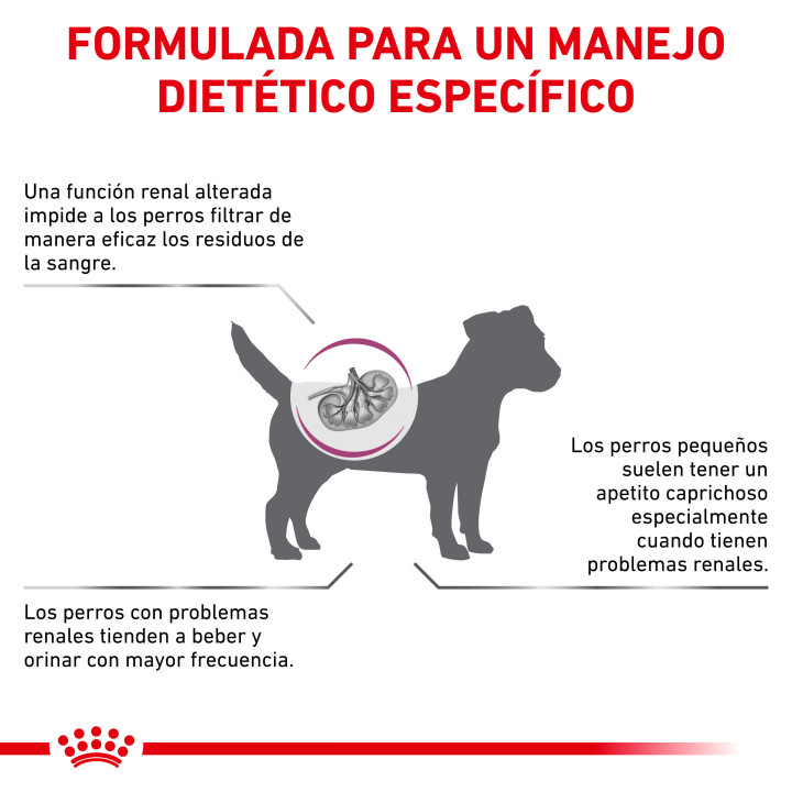 Royal Canin Renal Small Dog - Kompymascotas