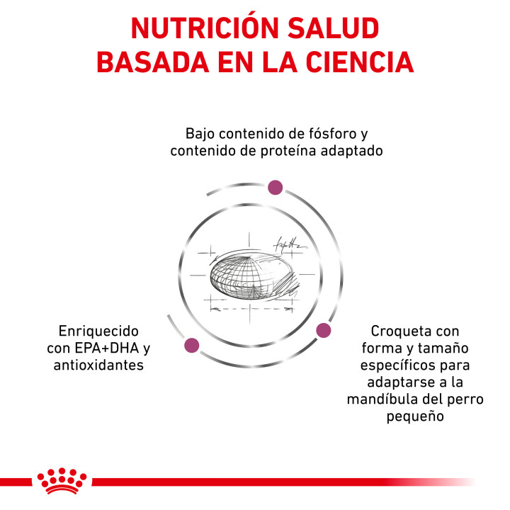 Royal Canin Renal Small Dog - Kompymascotas