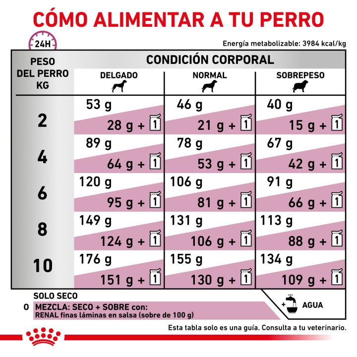 Royal Canin Renal Small Dog - Kompymascotas