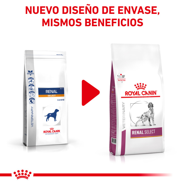 Royal Canin Renal Select, Pienso para perros - Kompymascotas