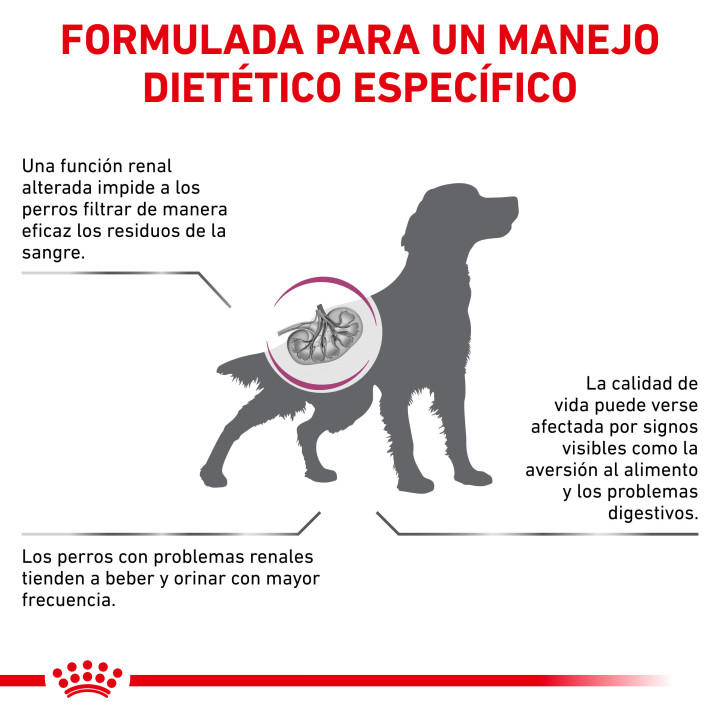 Royal Canin Renal Special , Pienso para perros - Kompymascotas