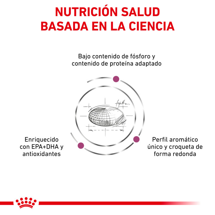 Royal Canin Renal Special , Pienso para perros - Kompymascotas