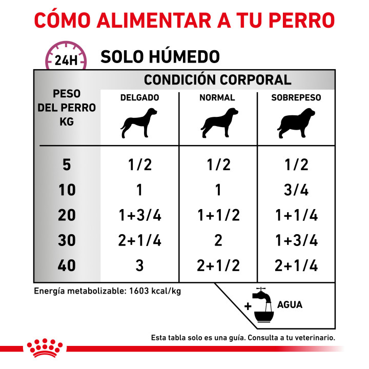 Royal canin Renal Special, comida húmeda para perros - Kompymascotas