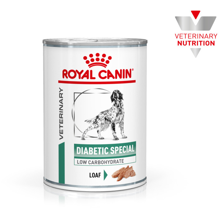 Royal Canin Diabetic Special Low Carbohydrate, comida húmeda - Kompymascotas