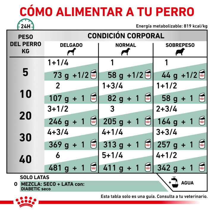 Royal Canin Diabetic Special Low Carbohydrate, comida húmeda - Kompymascotas
