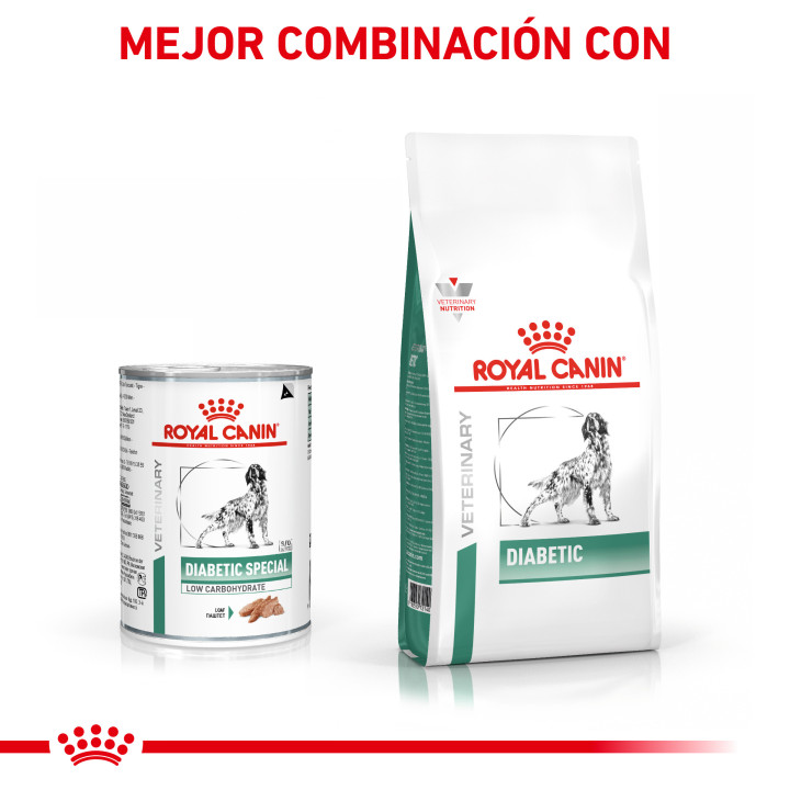 Royal Canin Diabetic Special Low Carbohydrate, comida húmeda - Kompymascotas
