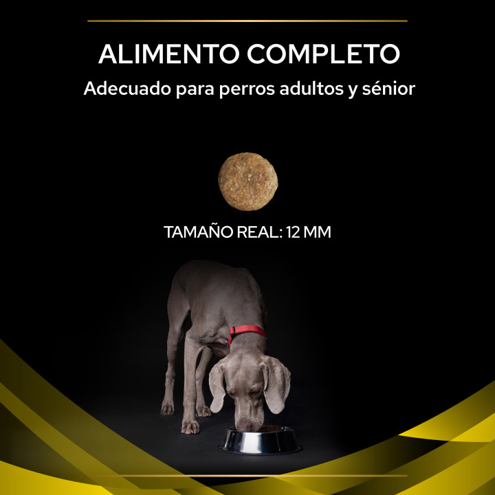 Purina Pro Plan Veterinary Diets NC Neurocare - Kompymascotas