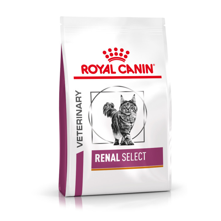 Royal Canin Veterinary Diet Renal Select, Pienso para gatos - Kompymascotas
