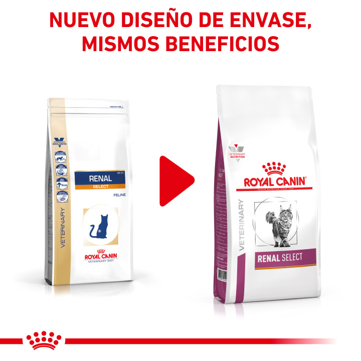 Royal Canin Veterinary Diet Renal Select, Pienso para gatos - Kompymascotas