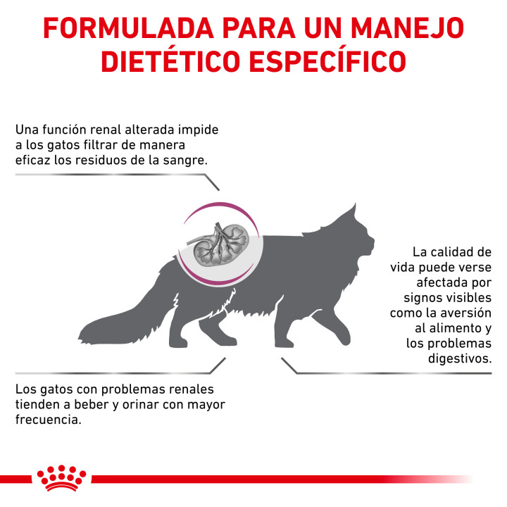 Royal Canin Veterinary Diet Renal Select, Pienso para gatos - Kompymascotas