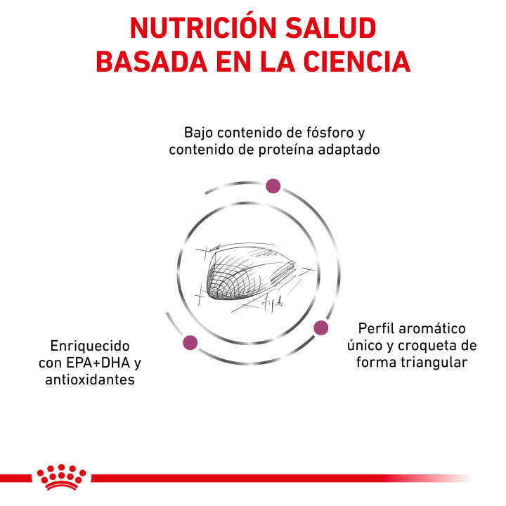 Royal Canin Veterinary Diet Renal Special , Pienso para gatos - Kompymascotas