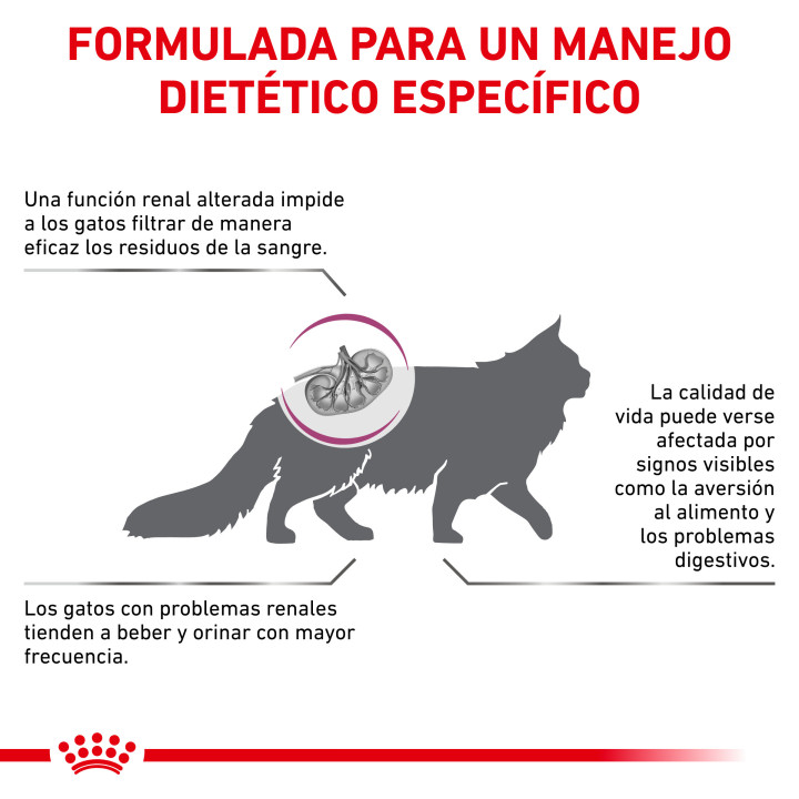 Royal Canin Veterinary Diet Renal Special , Pienso para gatos - Kompymascotas