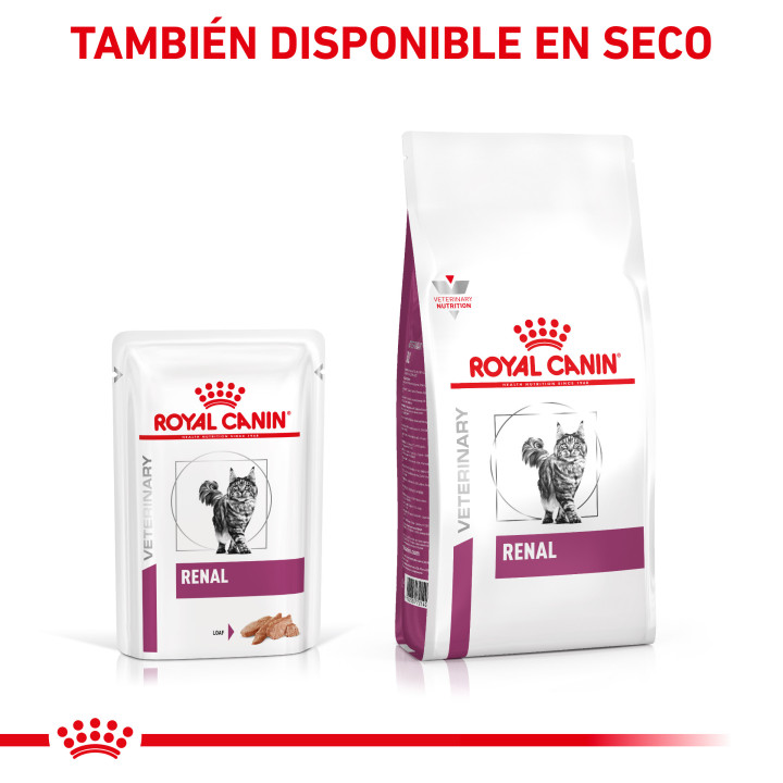 Royal Canin Renal (paté) - Kompymascotas