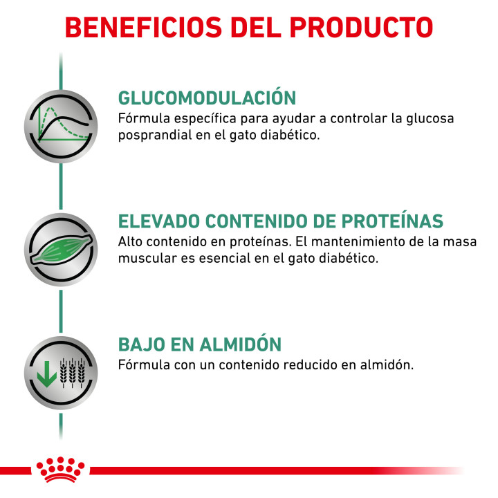 Pienso veterinario Royal Canin para gatos Diabetic - Kompymascotas
