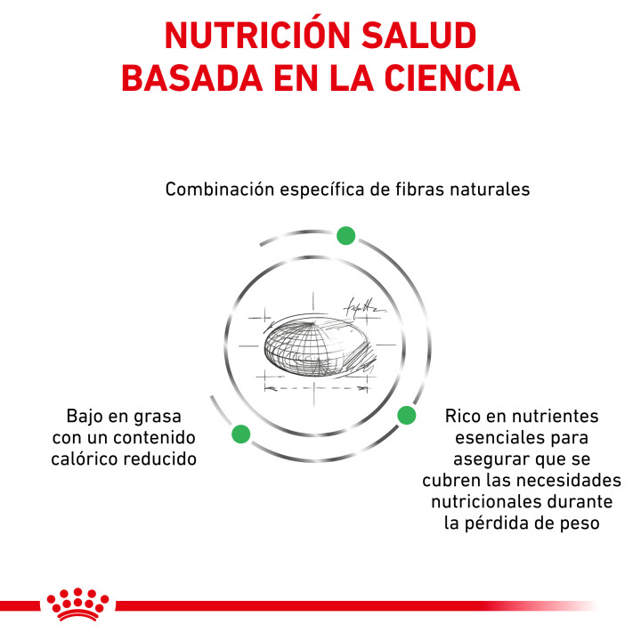 Pienso Royal Canin para gatos Satiety Support Weight Management - Kompymascotas