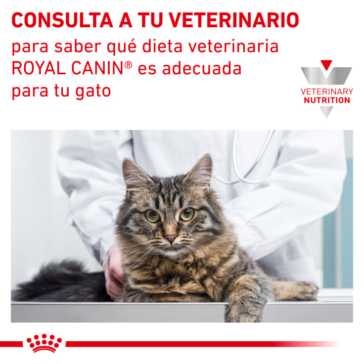 Pienso Royal Canin para gatos Satiety Support Weight Management - Kompymascotas