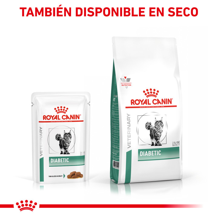 Comida húmeda para gatos Royal Canin Veterinary Diet - Kompymascotas