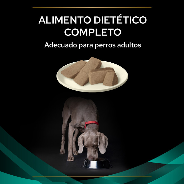Purina EN Gastrointestinal, pienso para perros - Kompymascotas