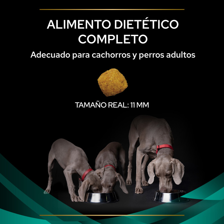 Purina Pro Plan Veterinary Diets Canine Pienso para perros - Kompymascotas