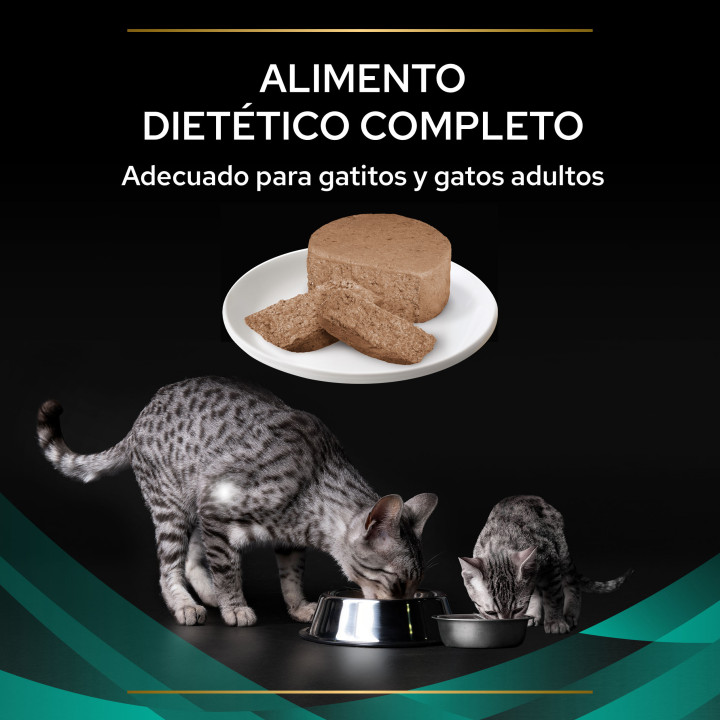 Purina EN Gastrointestinal gato, Pienso para gatos - Kompymascotas