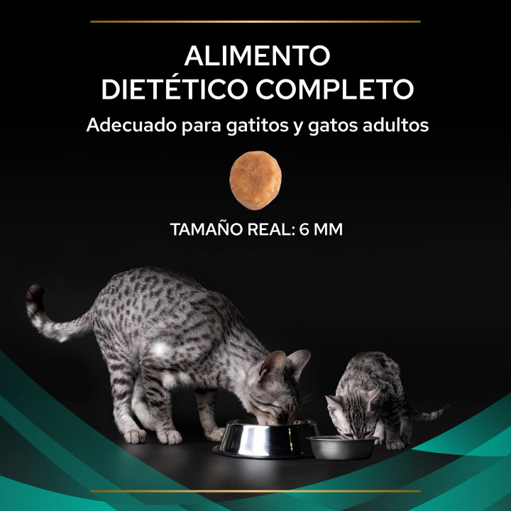 PVD Gato Seco EN Gastrointestinal, Pienso para gatos - Kompymascotas