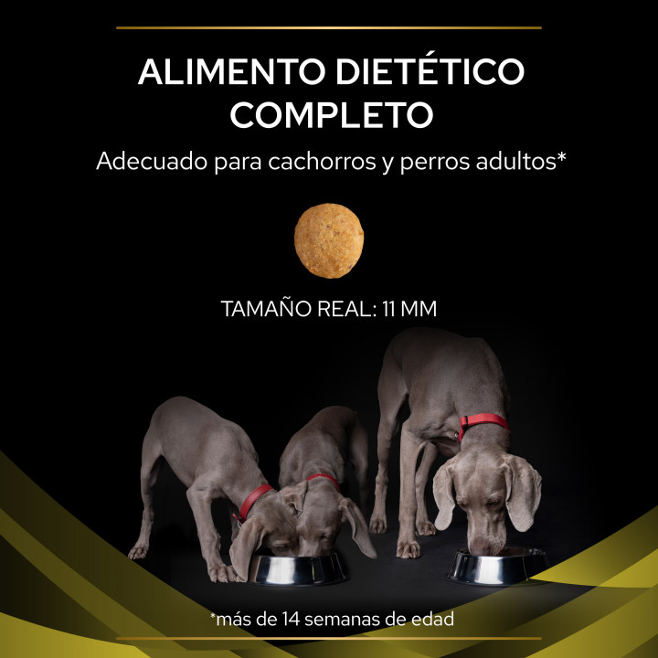 Purina Pro Plan Veterinary Diets HP Hepatic, Pienso para perros - Kompymascotas