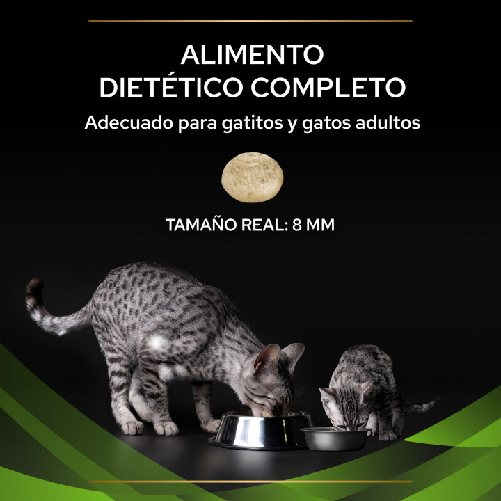 PVD Gato Seco HA HypoAlergenic, Pienso para gatos - Kompymascotas