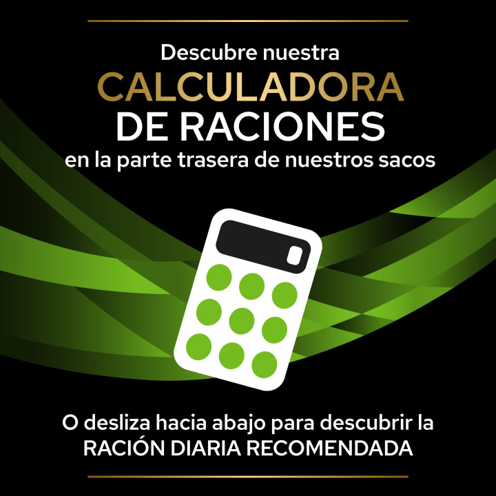 PVD Gato Seco HA HypoAlergenic, Pienso para gatos - Kompymascotas